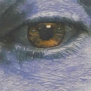 Meet your Posher, Diane